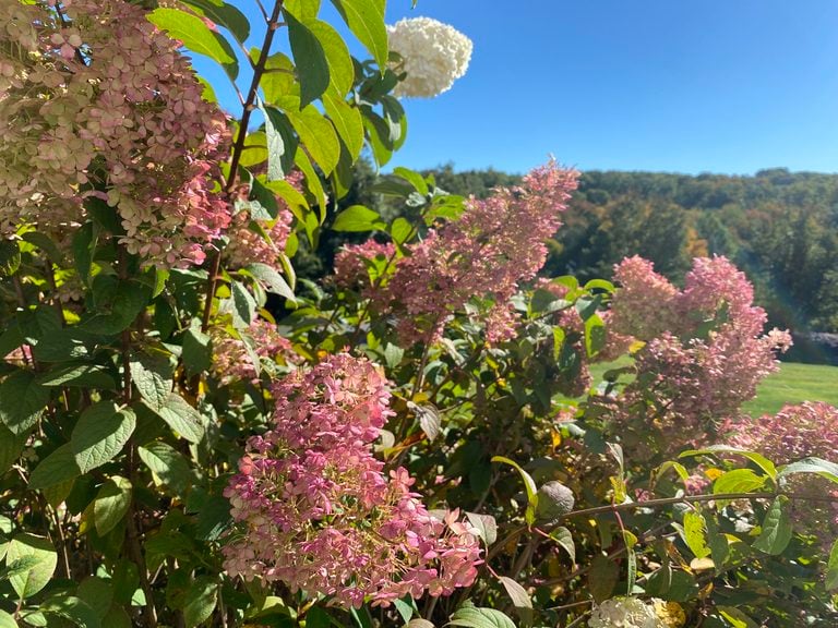 As October Lingers